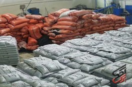 انواع گرانول گروه گرانول پلی اتیلن امین محمدزاده