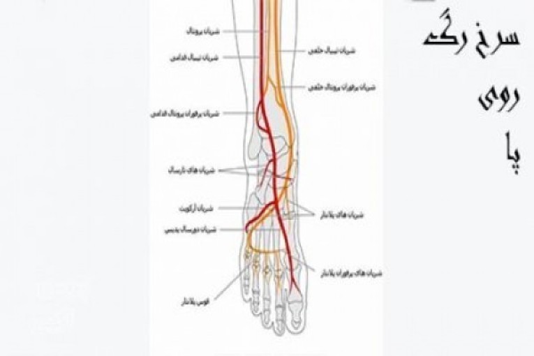 گیوه معروف آباده گیوه عسگری