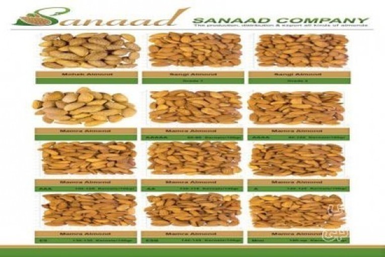 تولید،توزیع و صادرات انواع بادام