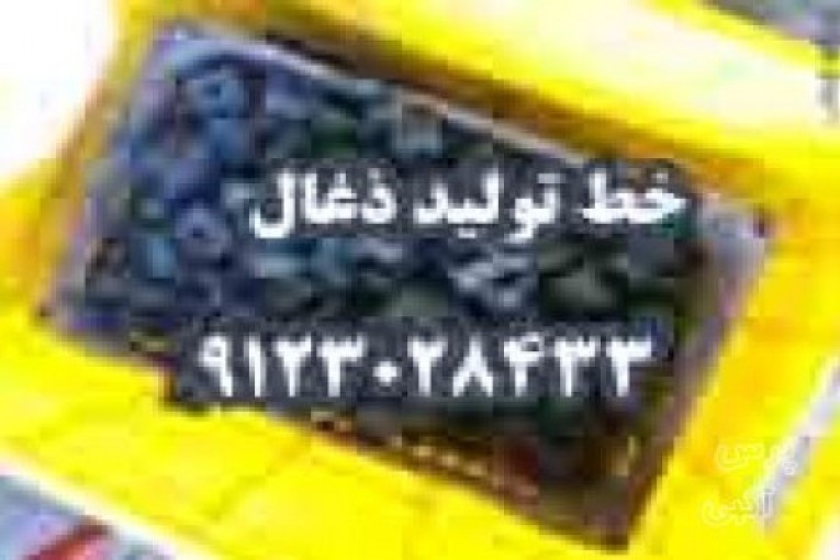  راه اندازي خط توليد ذغال9123028433