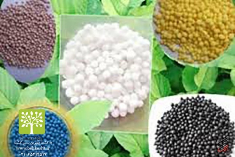 فروش انواع کودهای شیمیایی ، نانو و NPK ، کود دامی ، سم ، بذر ، نهال ، نشا ، ادوات و سم پاش کشاورزی