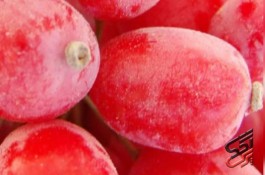 فروش عمده زرشک و ارسال به سراسر ایران